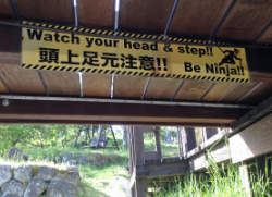 Watch your head